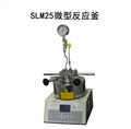 SLM25微型高压反应釜